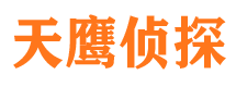 九台侦探公司